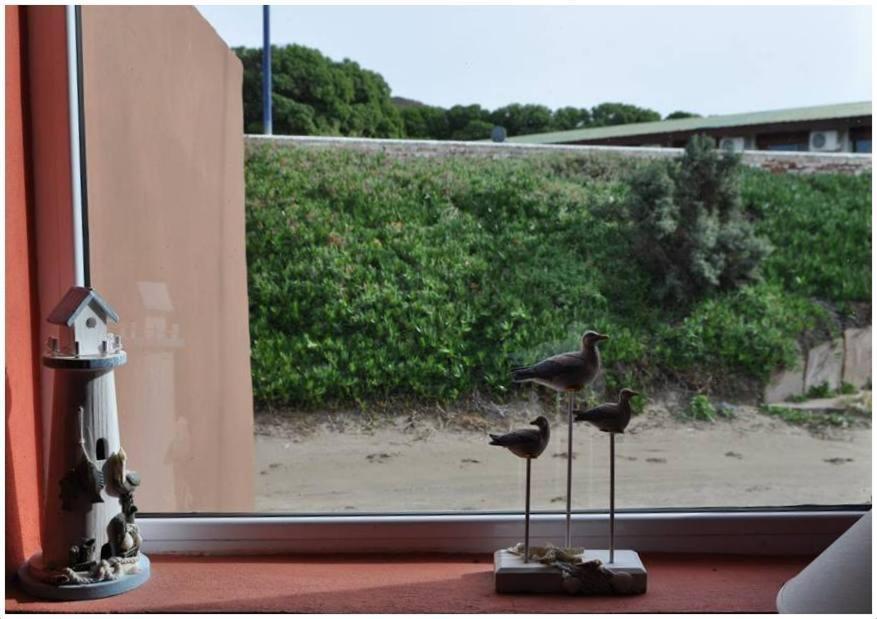 Hosteria Puerto Palos Puerto Pirámides Eksteriør bilde